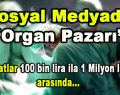 Sosyal Medyada Organ Pazarı ‘Fiyatlar 100 bin lira ila 1 milyon arası’