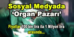 Sosyal Medyada Organ Pazarı ‘Fiyatlar 100 bin lira ila 1 milyon arası’