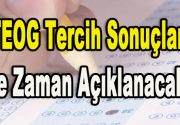 Güzel bir lisede okuma hayali kuran yüzbinlerce öğrenci TEOG tercih