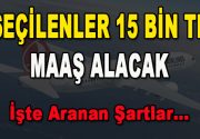 İş arayan gençler dikkat! Türk Hava Yolları 15 bin lira