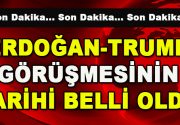 Erdoğan-Trump görüşmesinin tarihi belli oldu Cumhurbaşkanı Recep Tayyip Erdoğan ile