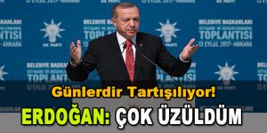 Günlerdir Tartışılıyor! Erdoğan: Çok Üzüldüm