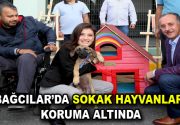 Bağcılar Belediyesi 4 Ekim Hayvanları Koruma Günü dolayısıyla sokak hayvanları