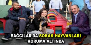 Bağcılar’da sokak hayvanları koruma altında