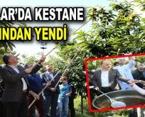 Bağcılar Kestane Bahçesi’nde şenlik havasında piknik düzenlendi