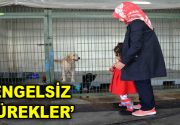 “16 yaşında ilk kez köpeğe dokundular” Bağcılarlı 16 yaşındaki engelli20