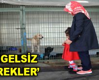 ”Engelsiz Yürekler”