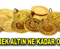 Altın yükselişe geçti