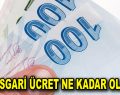 2018 Asgari ücret ne kadar olacak?