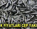 Balık fiyatları uçtu