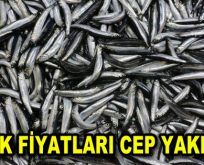 Balık fiyatları uçtu