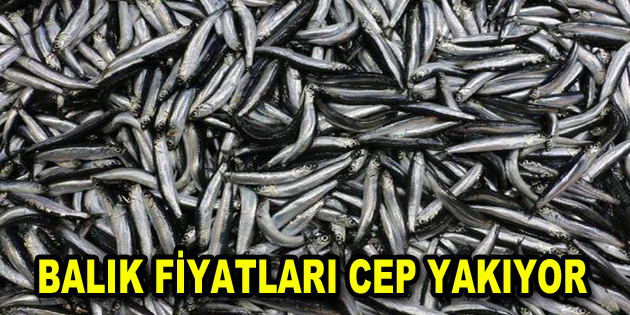 Balık fiyatları uçtu