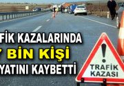 2017 yılı içerisinde Ocak ve Kasım ayları arasında uzmanlara göre