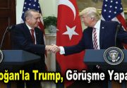 Cumhurbaşkanı Recep Tayyip Erdoğan, Afrin Harekatı’nın 5. gününde ABD Başkanı