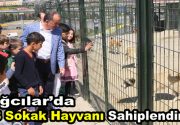 “Bağcılar’da 268 sokak hayvanı sahiplendirildi” Bağcılar Belediyesi tarafından 2017 yılında
