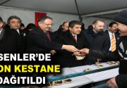 ESENLER’DE KESTANE FESTİVALİ DÜZENLENDİ Esenler’de düzenlenen Kestane Festivali’nde, 5 ton