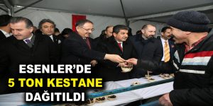 Esenler’de 5 Ton kestane dağıtıldı