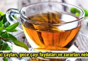 Bitki çayları, gece çayı faydaları ve zararları nelerdir? Çağımızın en