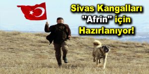 Sivas Kangalları ”Afrin” için hazırlanıyor!