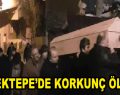 Örnektepe’de Korkunç Ölüm!