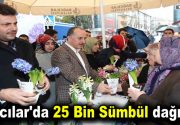 Dünya Kadınlar Günü’nde Bağcılar’da 25 Bin Sümbül dağıtıldı Bağcılar Belediyesi