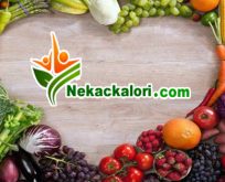Nekackalori.com