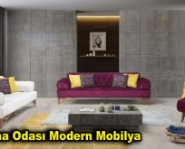 Oturma Odası Modern Mobilya