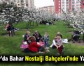 Bağcılar’da bahar Nostalji Bahçeleri’nde yaşanıyor