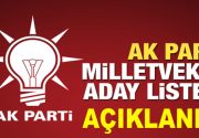 AK Parti’nin, 27. Dönem Milletvekili Genel Seçimi için hazırlanan aday