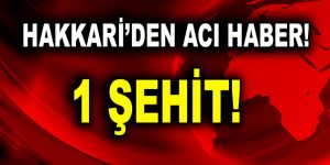1 uzman çavuş şehit oldu