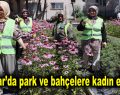 Bağcılar’da park ve bahçelere kadın eli değdi