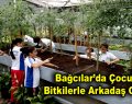 Bağcılar’da çocuklar bitkilerle arkadaş oldular