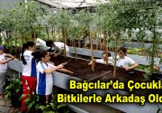 Bağcılar’da çocuklar bitkilerle arkadaş oldular Bağcılar Belediyesi Bilgi EvleriBotanik Bahçesi’nde