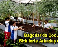 Bağcılar’da çocuklar bitkilerle arkadaş oldular