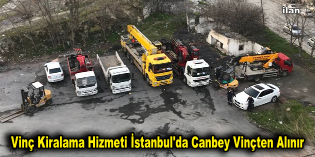 Vinç Kiralama Hizmeti İstanbul’da Canbey Vinçten Alınır