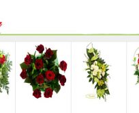 ”Çiçekella” dünyaya açılan kapınız…