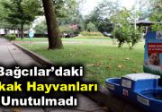 Bağcılar’daki parklarda sokak hayvanlarına su ve mama hizmeti Bağcılar Belediyesi