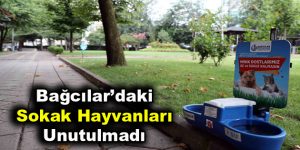 Bağcılar’daki parklarda sokak hayvanlarına su ve mama hizmeti