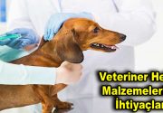 Veteriner Hekim Malzemelerinin İhtiyaçları Sağlık, sadece insanların dikkat etmesi gereken