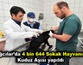 Bağcılar’da 4 bin 644 sokak hayvanına kuduz aşısı yapıldı