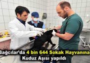 Bağcılar’da 4 bin 644 sokak hayvanına kuduz aşısı yapıldı Bağcılar