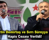Selahattin Demirtaş ve Sırrı Süreyya Önder’e hapis cezası verildi!