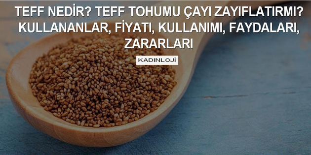 Teff tohumu zayıflamak için nasıl kullanılır? Fiyat nedir?