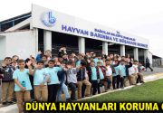 Hayvan Barınma ve Müşahede Merkezi’ne ziyaretçi akını Bağcılar Belediyesi Hayvan