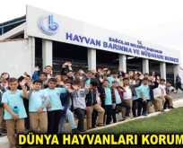 Bağcılar Belediyesi Hayvan Barınma ve Müşahede Merkezi