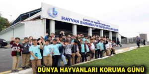 Bağcılar Belediyesi Hayvan Barınma ve Müşahede Merkezi