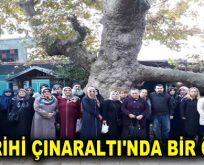 TARİHİ ÇINARALTI’NDA BİR GÜN