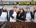 KÜÇÜKÇEKMECE’DE ”KESTANE FESTİVALİ”