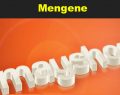 Mengene