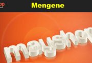 Mengene Herhangi bir nesneyi en iyi şekilde sıkıştırmak veya sıkıştırarak